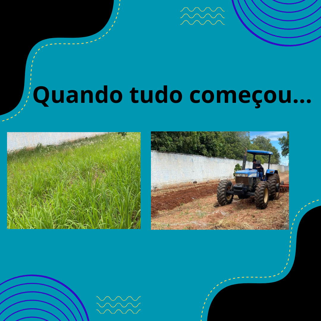 foto da parte de trás da escola e de tratores removendo o mato.